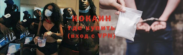 не бодяженный Алексин