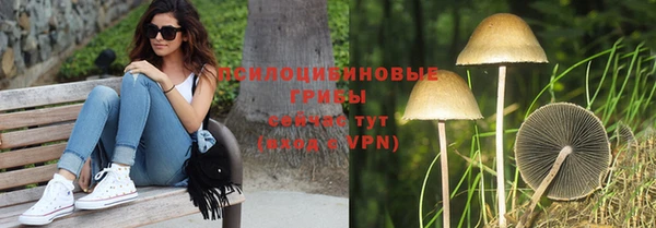прущая мука Алзамай