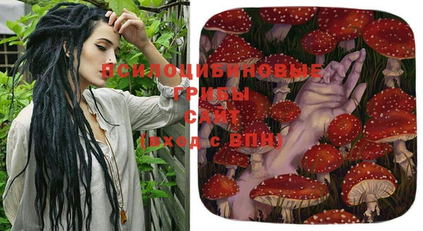 прущая мука Алзамай