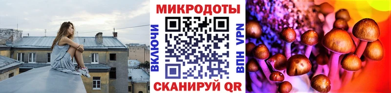 Псилоцибиновые грибы Psilocybe Курлово